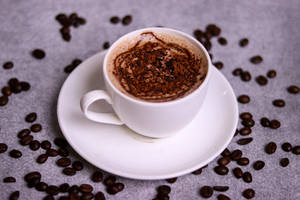 Premium Hot Chocolate (t)