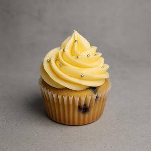 Blueberry Cupcake