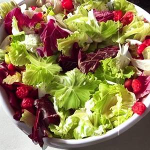 Tossed Salad