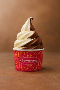 Choco Vanilla  Classic Ice Cream