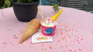 French Vanilla (5 Scoops)
