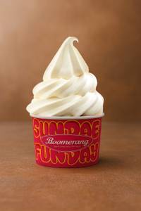 Vanilla Classic Ice Cream