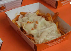 Creamy Cheesy Fries