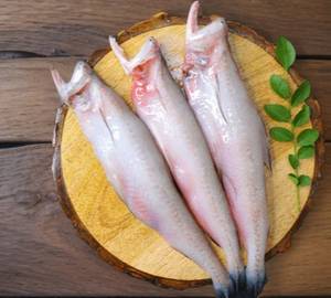 Lote Fish (500 gram)