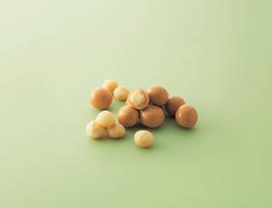 Macadamia Gianduja Chocolate