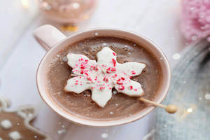 Hot Chocolate