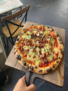 Figaro Non Veg [ 10 INCH ] [o]