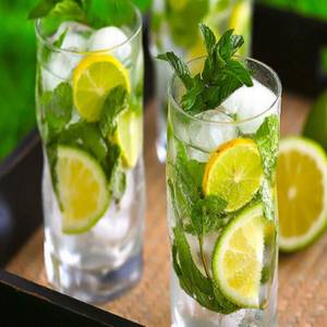 Mint Lime Mojito