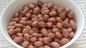 Plain Peanut (boiled)