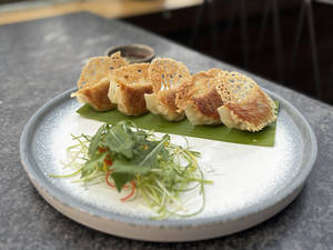 Chicken Gyoza With Herb Salad