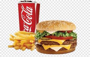 Vegetable Burger Combo