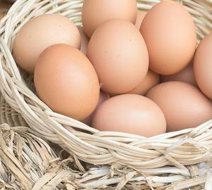 Country Chicken Egg 1 Pc