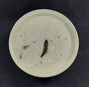 Curd Rice