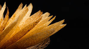 Roasted Papad