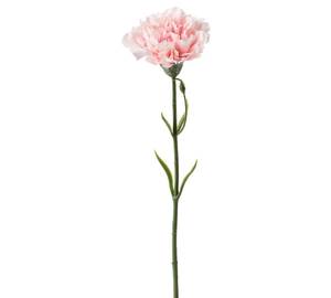 1 Stamp Pink Carnation ( single )