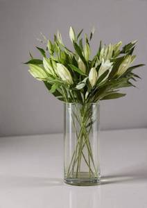 Munmun Florist 8 Lily Arrangement