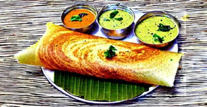 Mayo Schezwan Sada Dosa