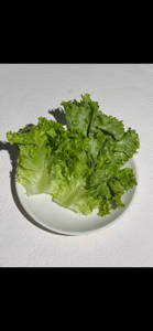 Extra Lettuce