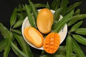 Mango Queen