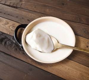 Plain dahi