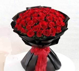 50 Red Roses