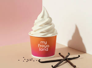 Vanilla Frozen Yogurt Ice Cream (100 Gm)