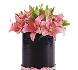 5 Stamp Pink Lily Box