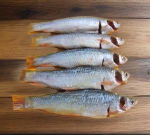 Bata Fish (Janto) 500 Gram