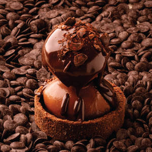 Belgian Dark Chocolate Cheesecake