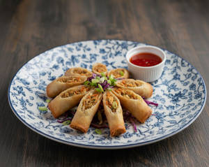 Veg Spring Roll