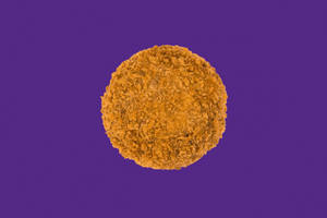 Chicken Tikka Cutlets (pack Of 4)