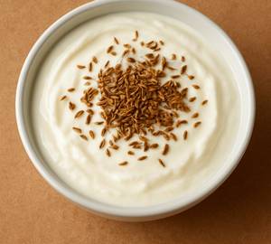 Plain Dahi