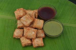 Spring Samosa