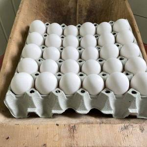 Egg Big Size 30 Pic(p.w.b brand 1998)