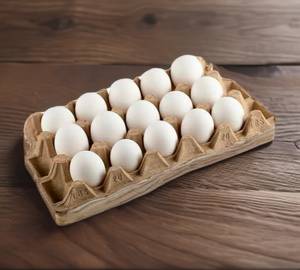 Egg 15 Pic(Big size)