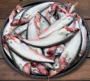 Pabda Fish  (Clean)350 Gram