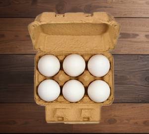 Egg6 Pic