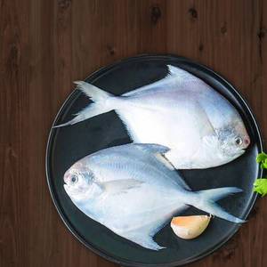 Pomfret Fish350 Gram( Fresh And Clean)