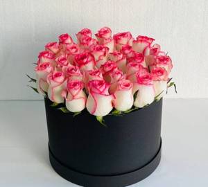 Jumeliya Rose With Black Box