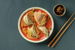 Veg Pan Fried Dimsums