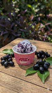 Black Jambu Ice Cream