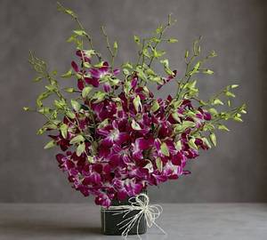 20 Purple Orchid  Glass Vase Arrangement