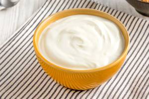 Plain Curd