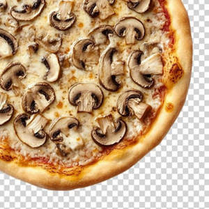 10"woodcutters Special