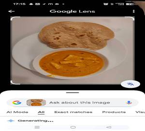 Paneer masala with 4 plain butter roti