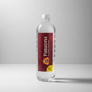 Paradise Water Bottle