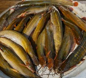 Shing Fish (400 gram)
