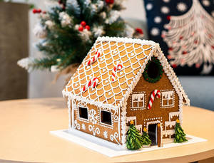 Ginger Bread House