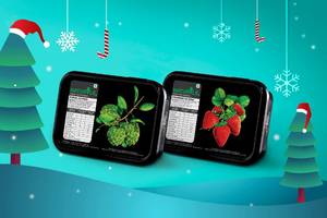 Santa's Seasonal Combo