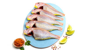 Pink Perch Medium Whole Cleaned With Head 560G